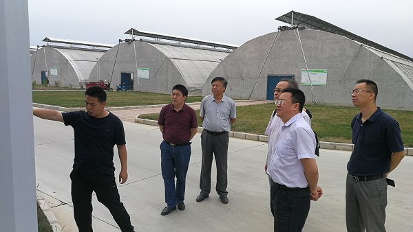 76086fdc2c16478dad2d6cf0ee8accd6.jpg IMG_20200602_112141.jpg