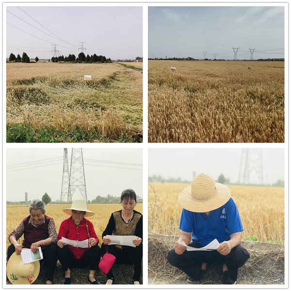 c90427ca464b44b684acd276d90e2523.png 图片2.png