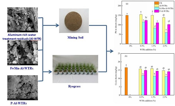 85aab5a892f84a1481e2a1836ffc021d.jpg 净水铝泥改性对土壤重金属的钝化效果.jpg