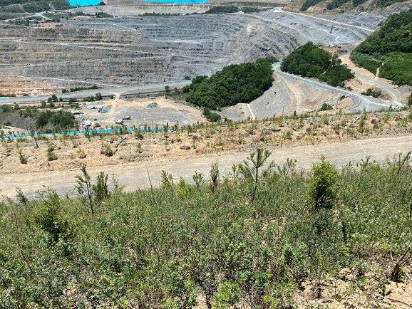 9210925fd6f7442fbd9257ca99b11ba4.jpg 8.jpg