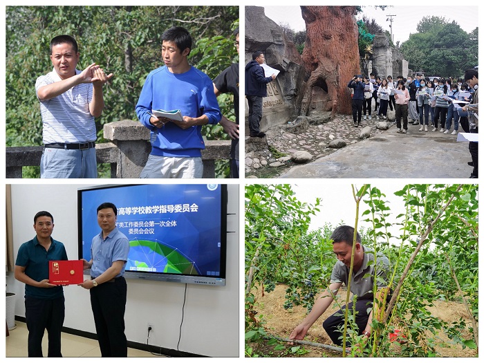 caec91a4e1e245468c85eb7078cd3133.jpg 02.jpg