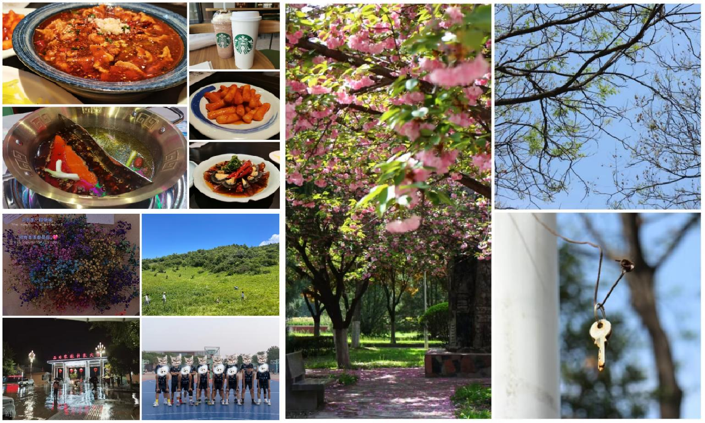 340825ea17484030a5896f43d15a9325.png 340825ea17484030a5896f43d15a9325.png