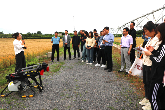 ed4d473161184287a748669a8890ef47.png image.png